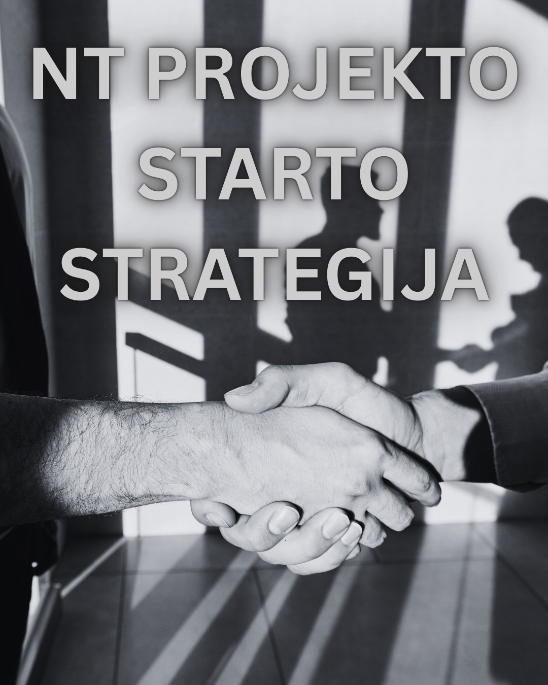 NT PROJEKTO STARTO STRATEGIJA (konsultacijos + auditas)